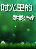 时光里的零零碎碎全集